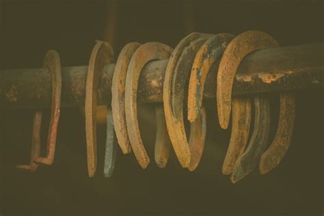 Rusty Horseshoes Free Stock Photo - Public Domain Pictures