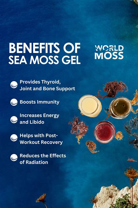 Sea Moss Benefits | Sea Moss Benefits