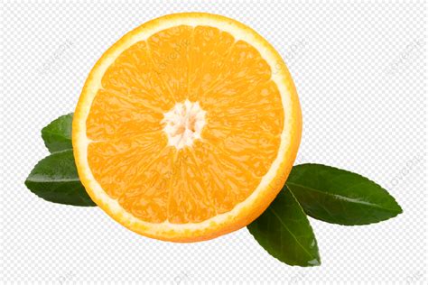 Image result for Webhook Example Python