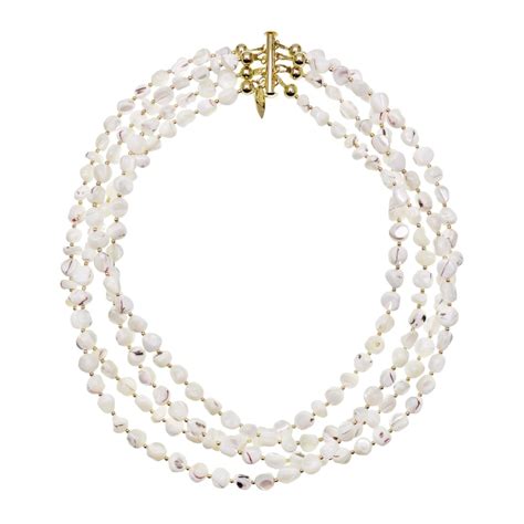 Image result for Shells Multi