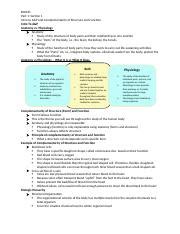 Image result for Complementarity of Structure and Function