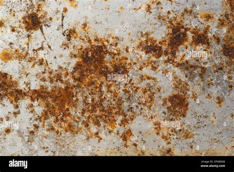 Image result for Steel Rust