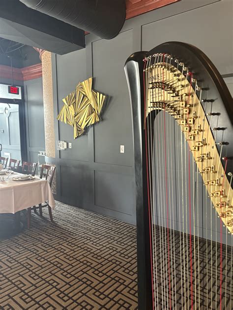 Rehearsal Dinner Music in Champaign, IL - The Classic Harpist