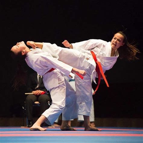 Image result for Karate Framework Java