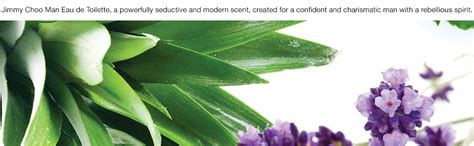 Jimmy Choo Men Eau De lavender spray Toilette, 100Ml : Amazon.in: Fashion