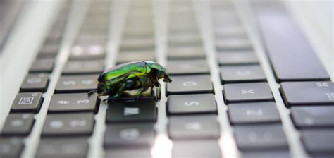 Image result for How to Fix Software Bugs