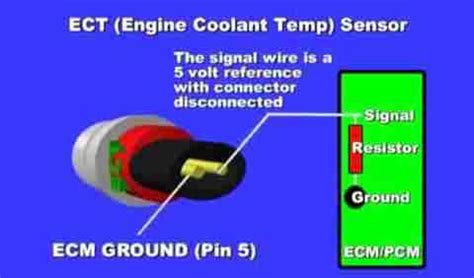 Image result for How to Bypass ECT Sensor