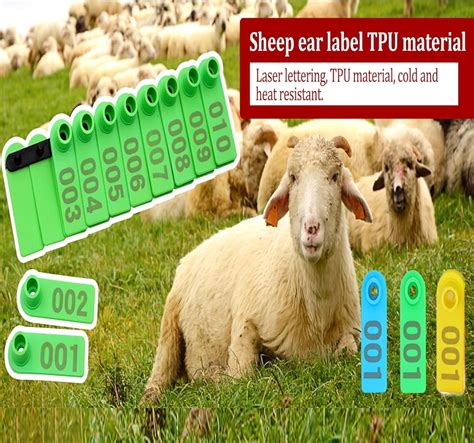 Junniu PAULOZYN 300PCS Livestock Ear Tags: Blue, Yellow, India | Ubuy