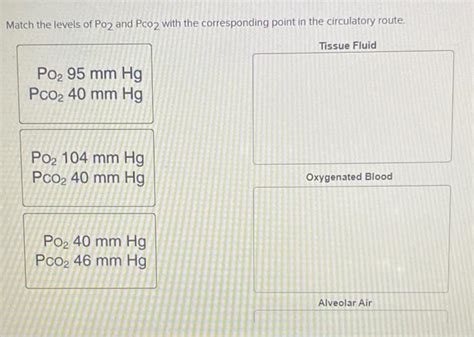 Image result for PCO2 PO2