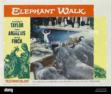 Elephant Walk - Movie Poster Stock Photo - Alamy