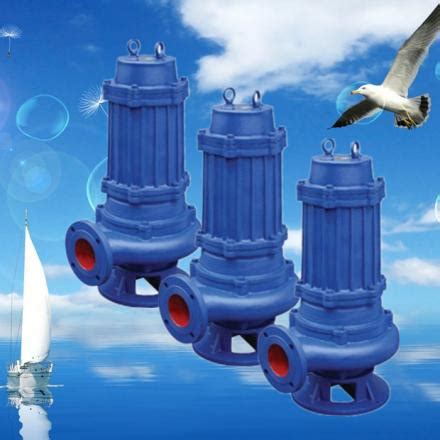 天津潜水泵-海水电机-卧式潜水泵-潜海水泵-矿用潜水泵 - 天津赛鸥泵业有限公司