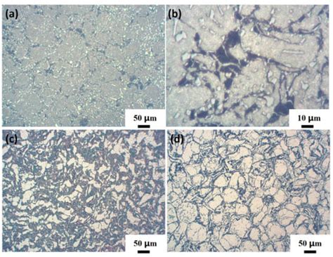 Study on the Properties of Carbon Nanotube (CNTs) Reinforced AlSi10Mg ...