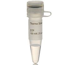 Buy GeneJET Endo-free Plasmid Maxi Kit, 10 Preps K0861 in India | Biomall