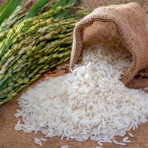 Rice Manufacturer Exporter Supplier from Visakhapatnam India