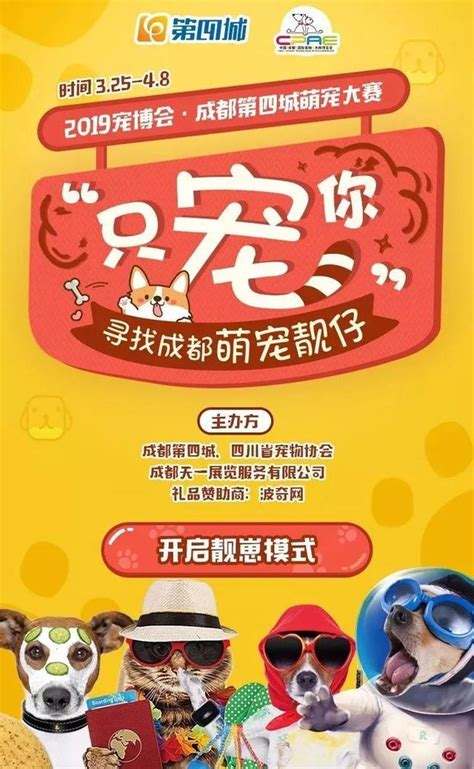 宠博会送什么礼物最新素材