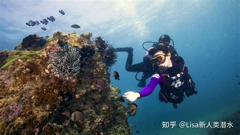 去海南三亚潜水，亲自体验海底世界