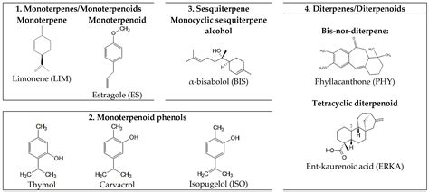 Advancements in Cyclodextrin Complexes with Bioactive Secondary ...
