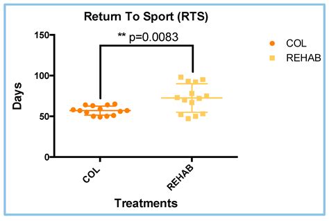 Porcine Collagen Injection Therapy Affects Proximal Hamstring ...