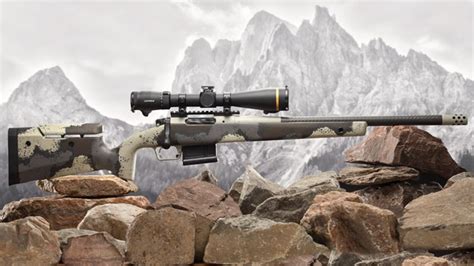 Image result for Springfield Waypoint Stainless