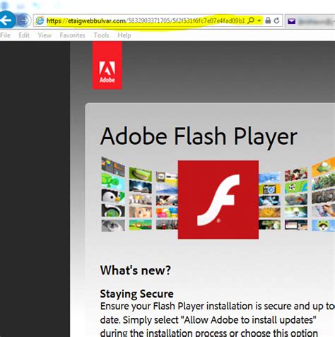 Image result for Update My Adobe Flash Player