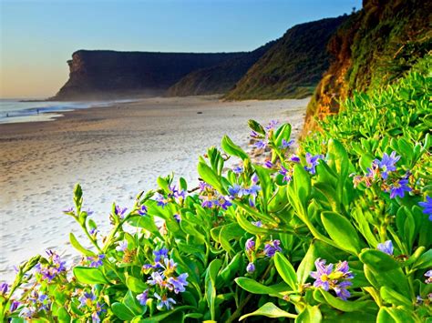 Spring Beach Vacation 的图像结果