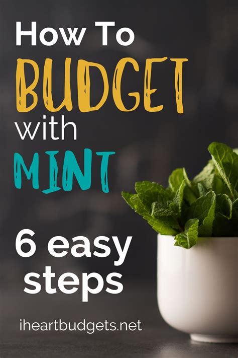 Mint Budgeting 的图像结果