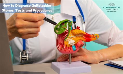 Image result for Gallbladder Test