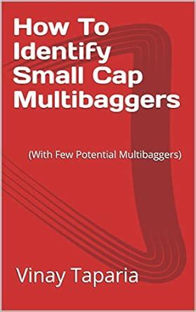 How To Identify Small Cap Multibaggers: (With Few Potential ...
