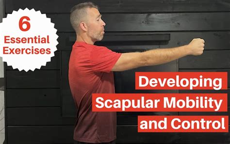 Image result for Scapular Dysfunction Exercises