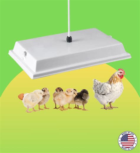 Chicken Coop Heater | Safe Chicken Coop & Brooder Heater – The Chicken ...