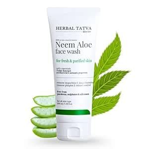 Herbal Tatva 2% Salicylic Acid Face Wash 100ml | Neem & Aloe Vera ...