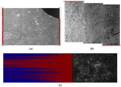 An Operational Tool for the Automatic Detection and Removal of Border ...