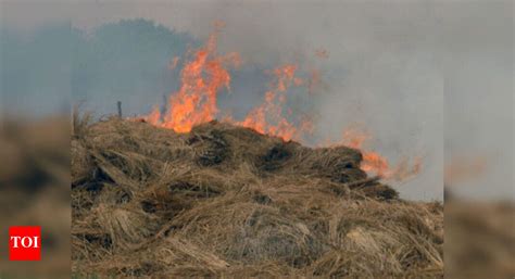 Air pollution from stubble burning costing India $30bn annually: Study ...