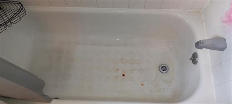 Can someone give a step by step on how to clean the cat pee and water ...