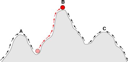 Fitness Landscape 的图像结果