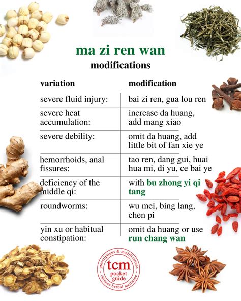 ma zi ren wan • 麻子仁丸 | tcm pocketguide