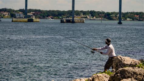It’s okay to fish redfish, snook and trout in Tampa Bay again