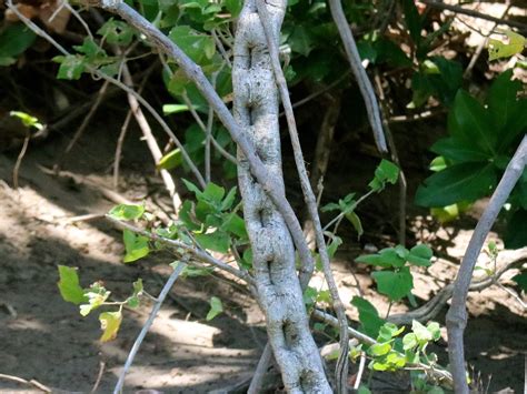 RIOS TROPICALES BY RCR (2026) All You Need to Know BEFORE You Go (with ...