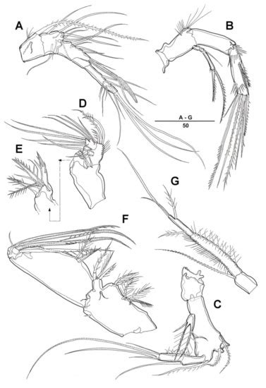 Taxonomy | March 2021 - Browse Articles