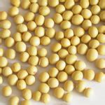 Speciality Food Products