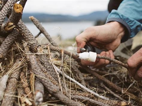 8 Essential Tools Everyone Will Need To Survive A Zombie Apocalypse If ...