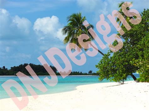 Image result for Virtual Beach Background