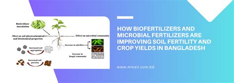 Biofertilizers 的图像结果