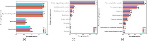 Responses of Soil Microbial Community and Nutrient Cycling Functional ...