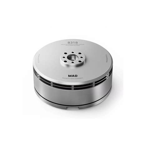 MAD CO 8318 IPE Agriculture Drone motor (Silver) 100 KV buy online at ...