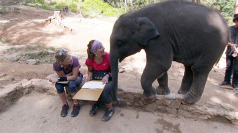 Watch The Amazing Race Season 30 Episode 7: The Amazing Race - The ...