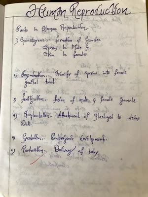 Human Excretory system - Cbse zoology class 12 - Studocu