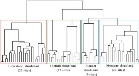 Image result for How to Read a Dendrogram