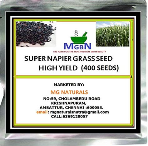 MGBN THE PATH FOR THE HEALTHIER LIFE WITH BEAUTY SUPER NAPIER GRASS ...