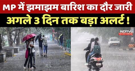 MP Weather Alert: झमाझम बारिश का दौर जारी, इन जिलों में अगले 3 दिन बड़ा ...